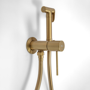 Гигиенический душ со смесителем AVS Slimmer брашированное золото